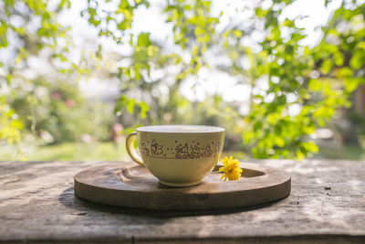 Close-up of tea cup on table