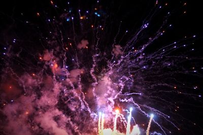 Low angle view of fireworks against sky at night