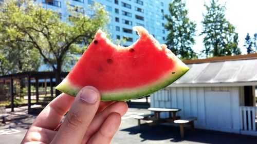 Cropped hand of man holding watermelon