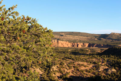 Scenic view of landscape against clear blue sky