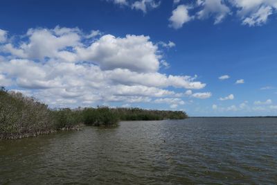 Scenic view of trees against sky