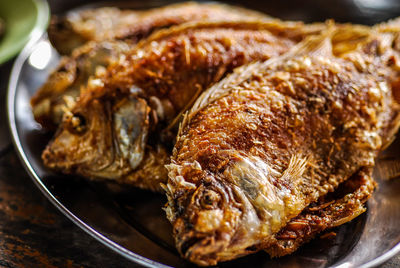 Close-up of meal served in plate