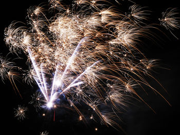 Firework display at night