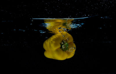 Close-up of yellow leaf floating on water against black background