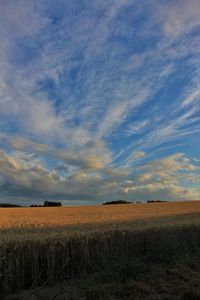 Scenic view of field against cloudy sky