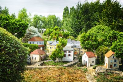 Trees and houses