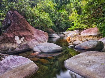 Rocks by lake in forest