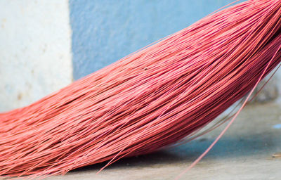 Close-up of red broom