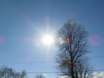 Low angle view of bare trees against blue sky