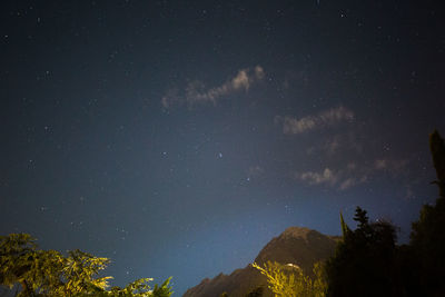 Low angle view of trees against sky at night