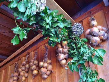 Green leaves on wooden table