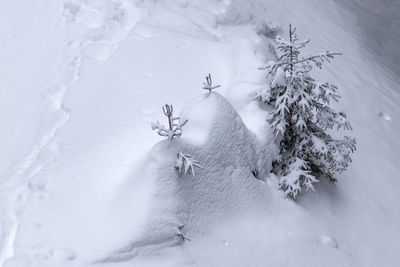 Close-up of snow on the ground