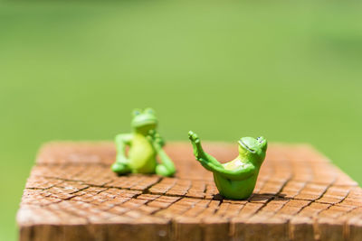 Close-up of frog figurines on wood