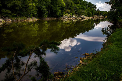 Reflection of trees in lake against sky