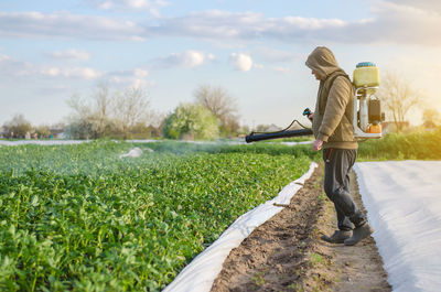 A farmer with a mist sprayer sprays fungicide and pesticide on potato bushes. 