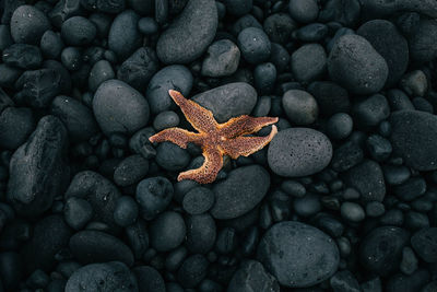 Close-up of pebbles on beach