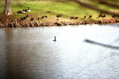 Scenic view of lake