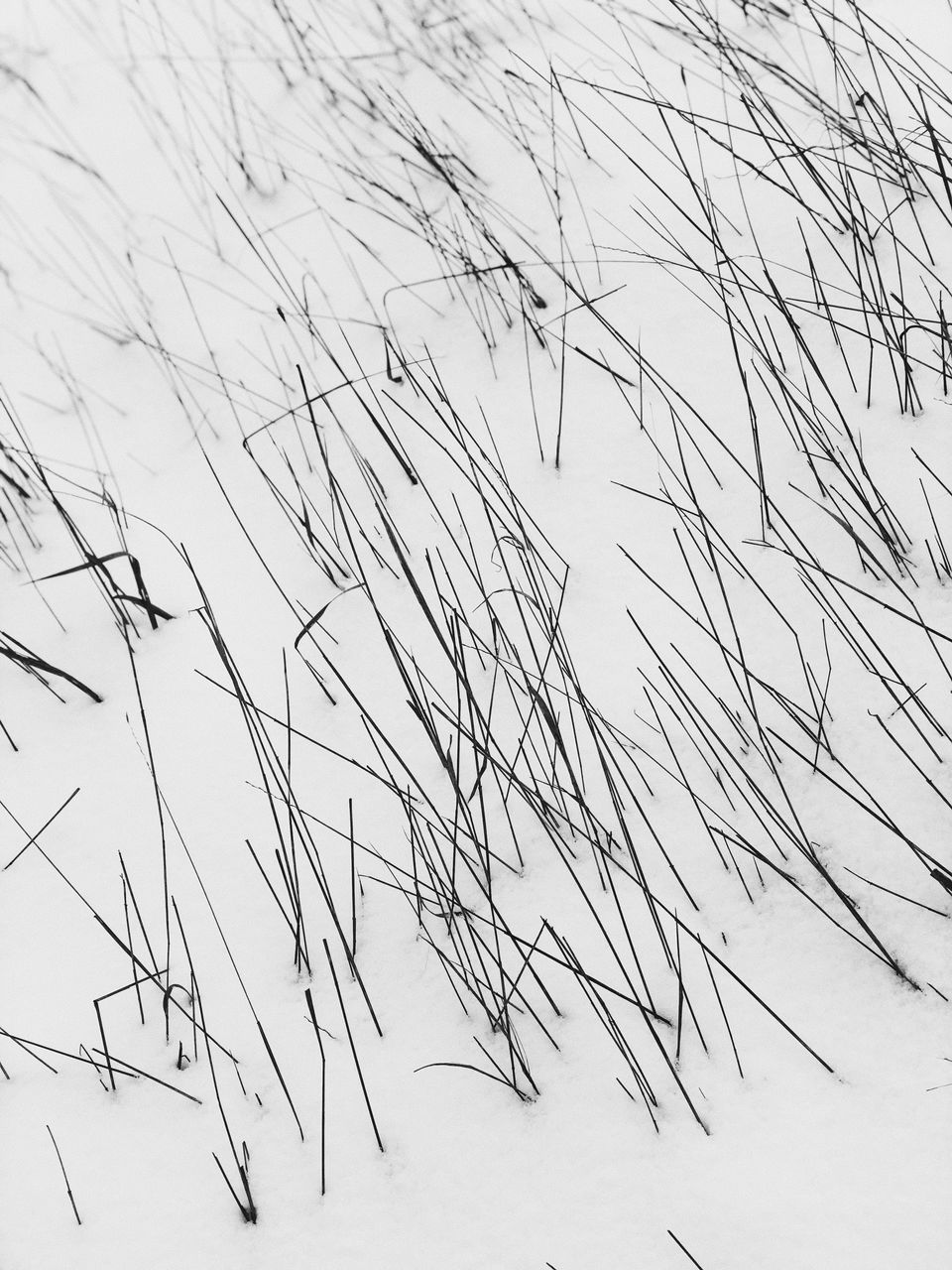 CLOSE-UP OF SNOW COVERED LAND ON FIELD