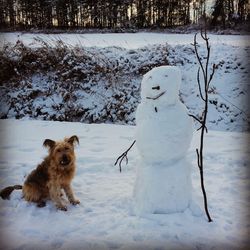 Puppy by snowman on snow covered field
