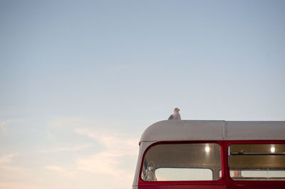 Low angle view of bird on side-view mirror against sky