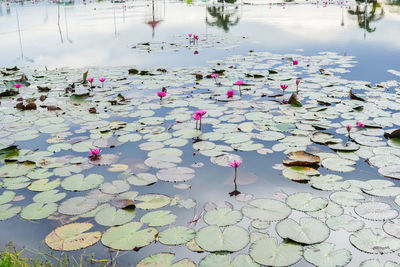 High angle view of boats in sea