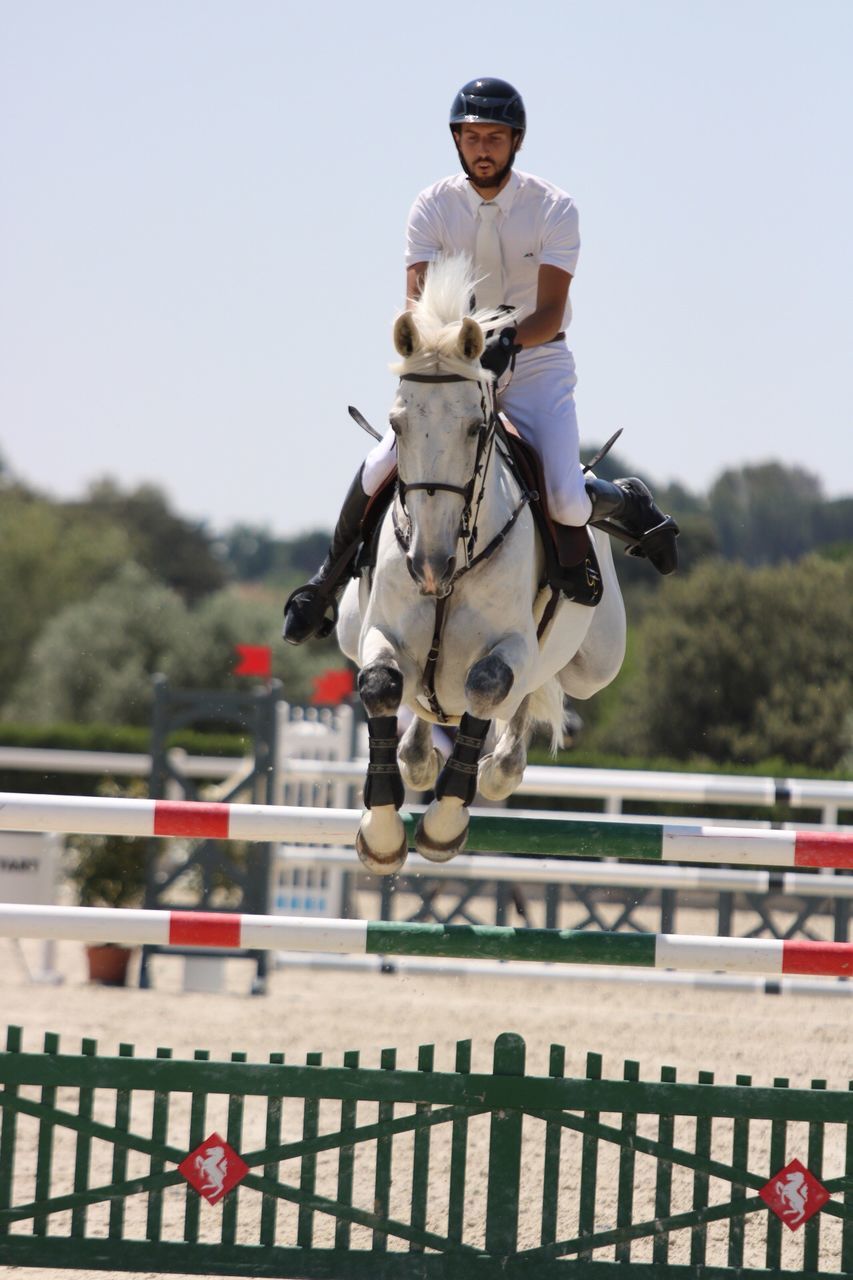 horse, sport, real people, jumping, safety, clear sky, leisure activity, competition, jockey, outdoors, competitive sport, mid-air, helmet, sky, full length, sports helmet, day, horse racing, tree, one person, sports race, extreme sports, mammal, people