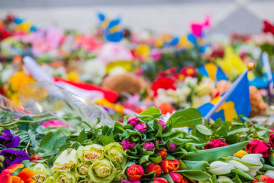 Close-up of multi colored flower bouquet