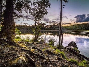 Scenic view of lake against cloudy sky