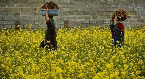 Woman standing on grass