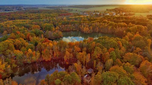 High angle view of trees by lake in forest during autumn