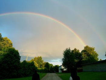 Rainbow over trees