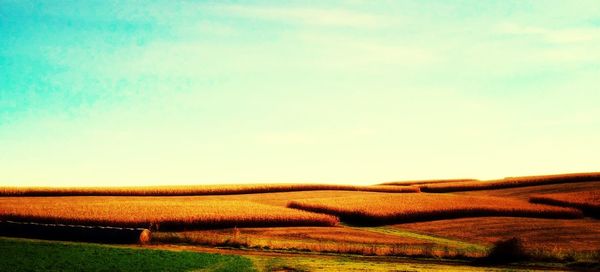 Scenic view of rural landscape