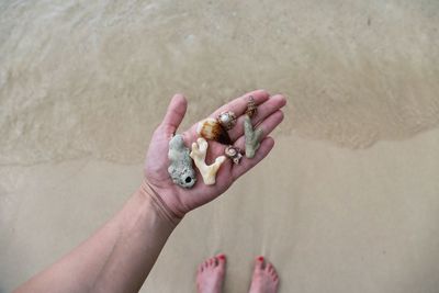 Close-up of woman hand holding sand on beach