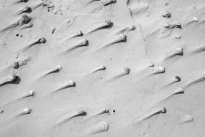 sand
