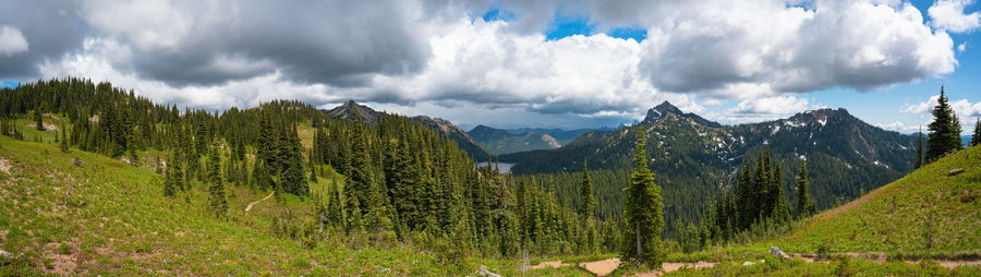 Panoramic shot of trees on landscape against sky