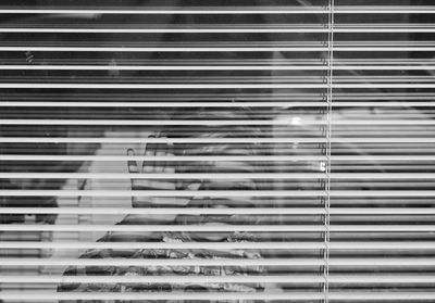 Portrait of smiling girl gesturing through blinds