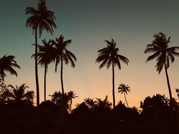 Silhouette palm trees against sky during sunset