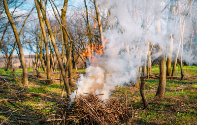 Burning garden waste in spring