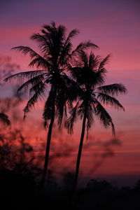 Silhouette palm tree against romantic sky at sunset