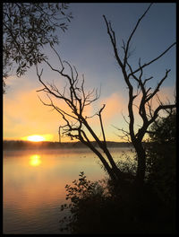 Bare trees against sky at sunset