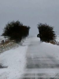 Trees on snow covered landscape against sky