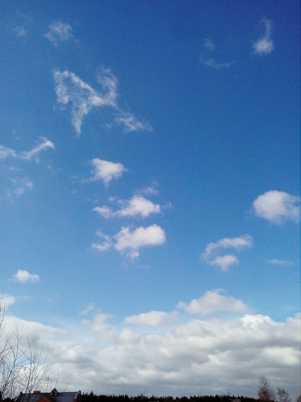 sky, cloud - sky, blue, tranquility, beauty in nature, tranquil scene, no people, nature, day, scenics - nature, low angle view, outdoors, sunlight, tree, idyllic, plant, white color, environment, non-urban scene, architecture