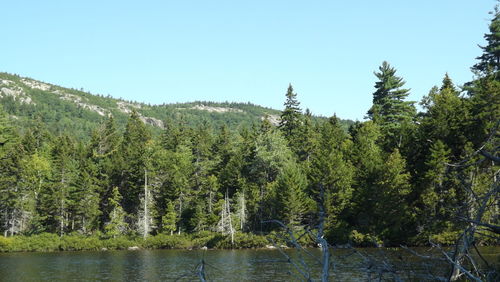 Scenic view of lake against clear sky