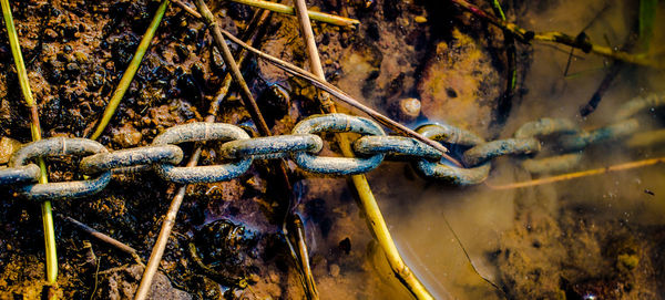 Close-up of rusty chain in water