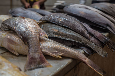 Close-up of fish for sale in market