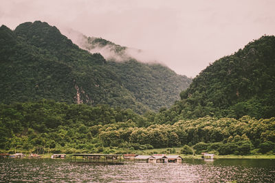 Scenic view of river in forest