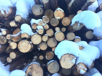 Stack of firewood