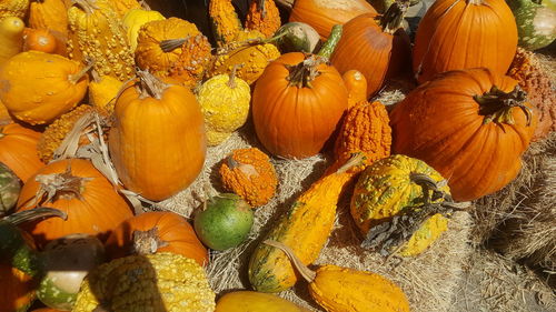 Full frame shot of pumpkins for sale in market