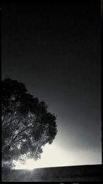 Silhouette trees on landscape against sky