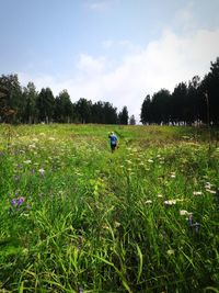 Scenic view of grassy field against sky